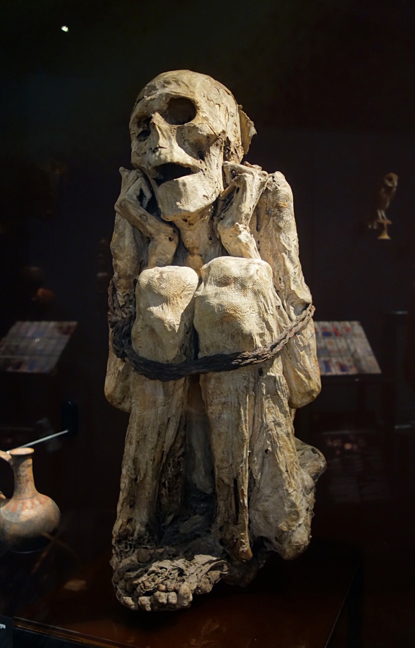 図版: チャチャポヤ族のミイラ - 出典: Musée de l'Homme, Paris (CC BY-SA 4.0)